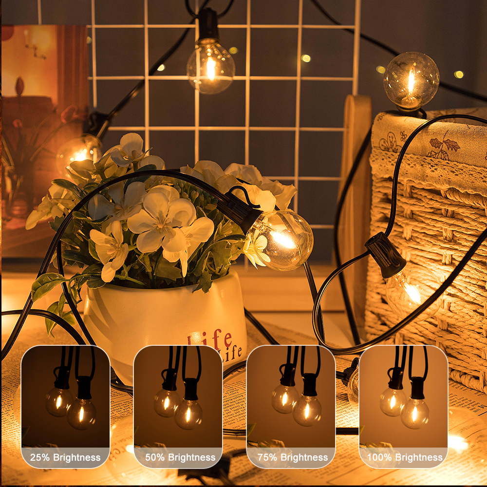 G40 LED Outdoor String Ball Li - Outdoor Lighting Driveway のレビューと価格