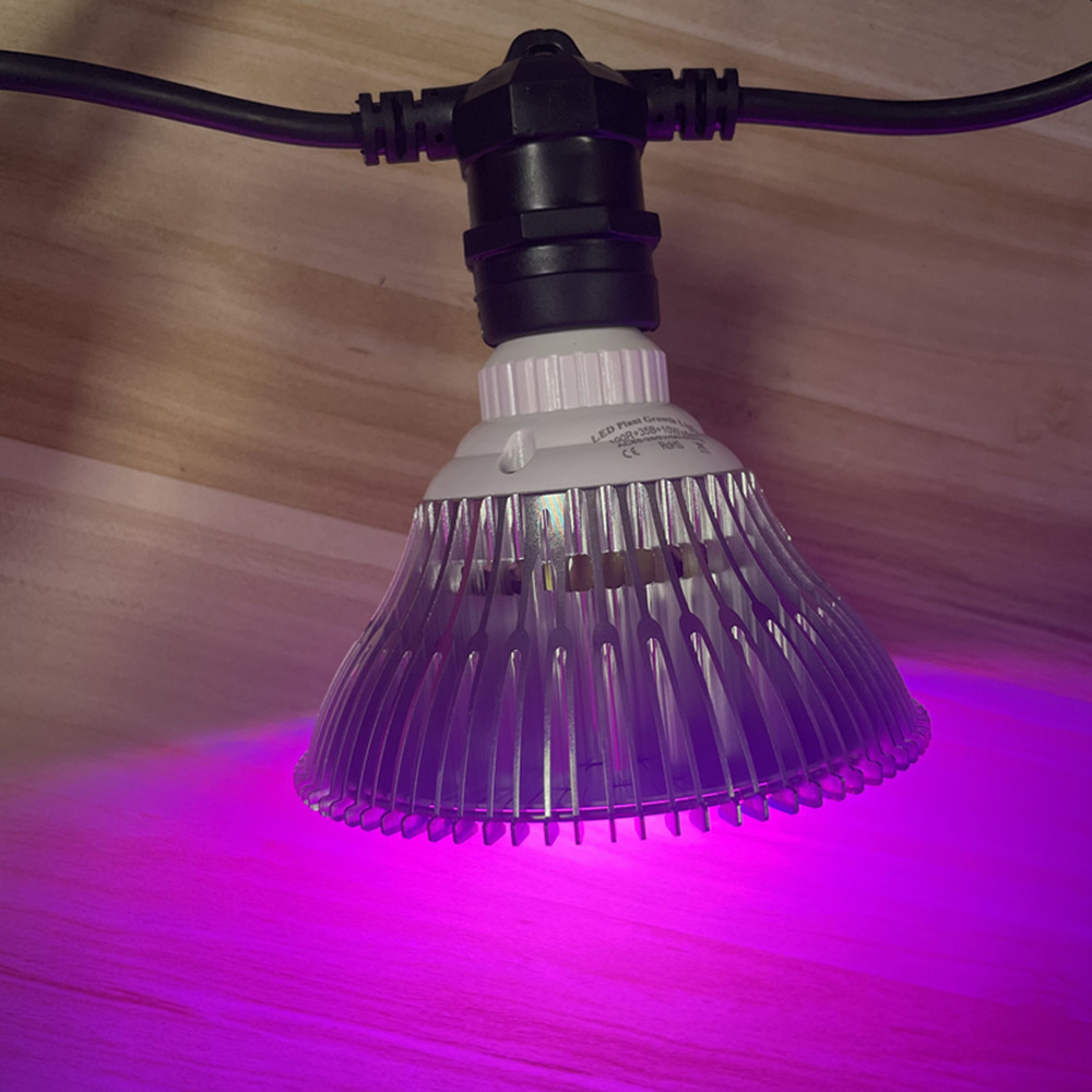 10M Cable LED String Commercia - Waterproof Led Strip のレビューと価格