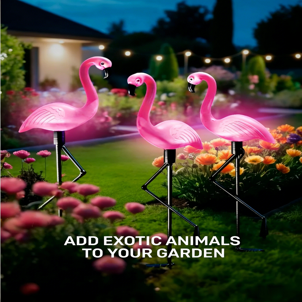 3Pcs Solar Powered Flamingo Gr - Outdoor Lighting Driveway のレビューと価格