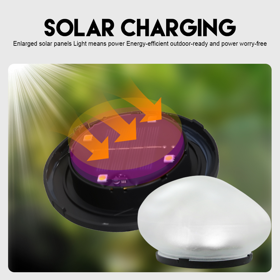 Solar Decorative Lamp Frosted  - Outdoor Lighting On House のレビューと価格