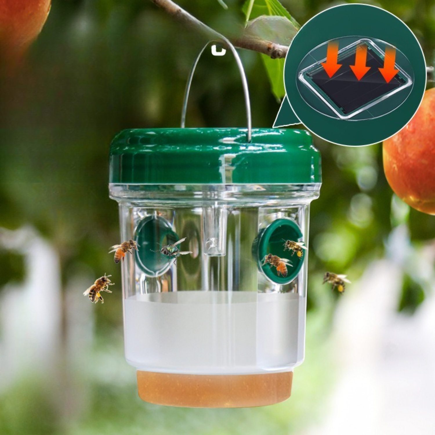 1-6PCS Solar Wasp Trap Waterpr - Outdoor Lighting On House のレビューと価格